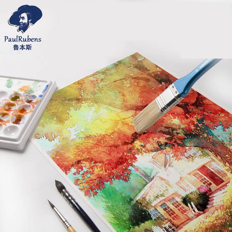 Paul Rubens Professional Water - Ink Blotter Paper recension och pris